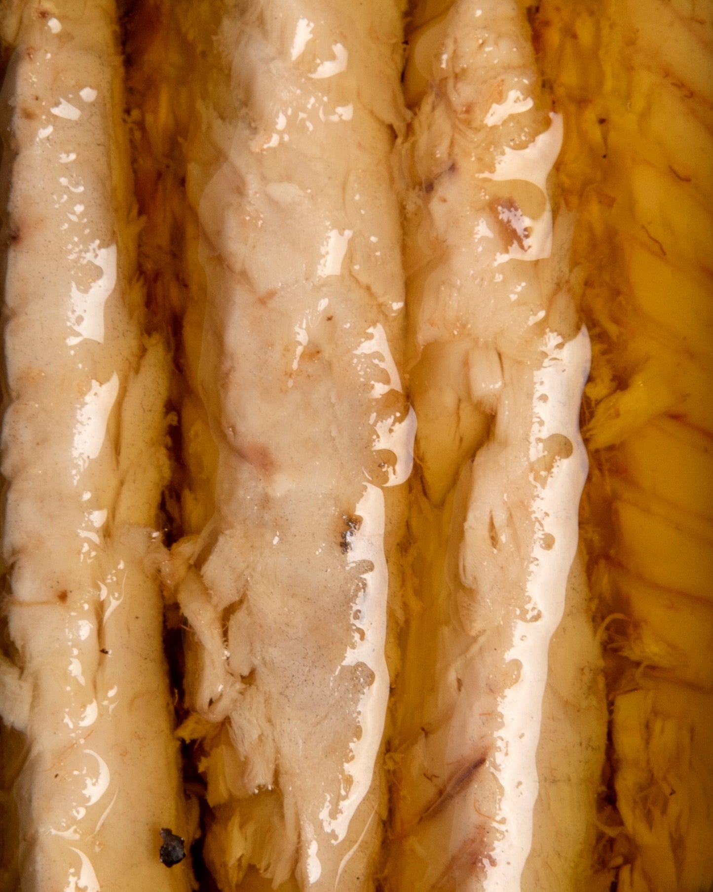 Filets de Verat en Oli d'oliva i Piri-Piri Ecològics