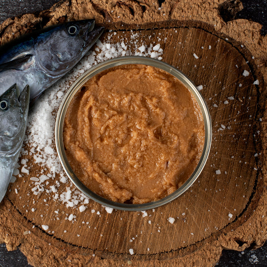 High-Protein Tuna Pâté