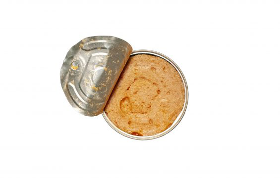 Spiced Mackerel Pâté