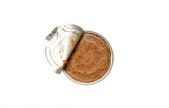 Spiced Sardine Pâté