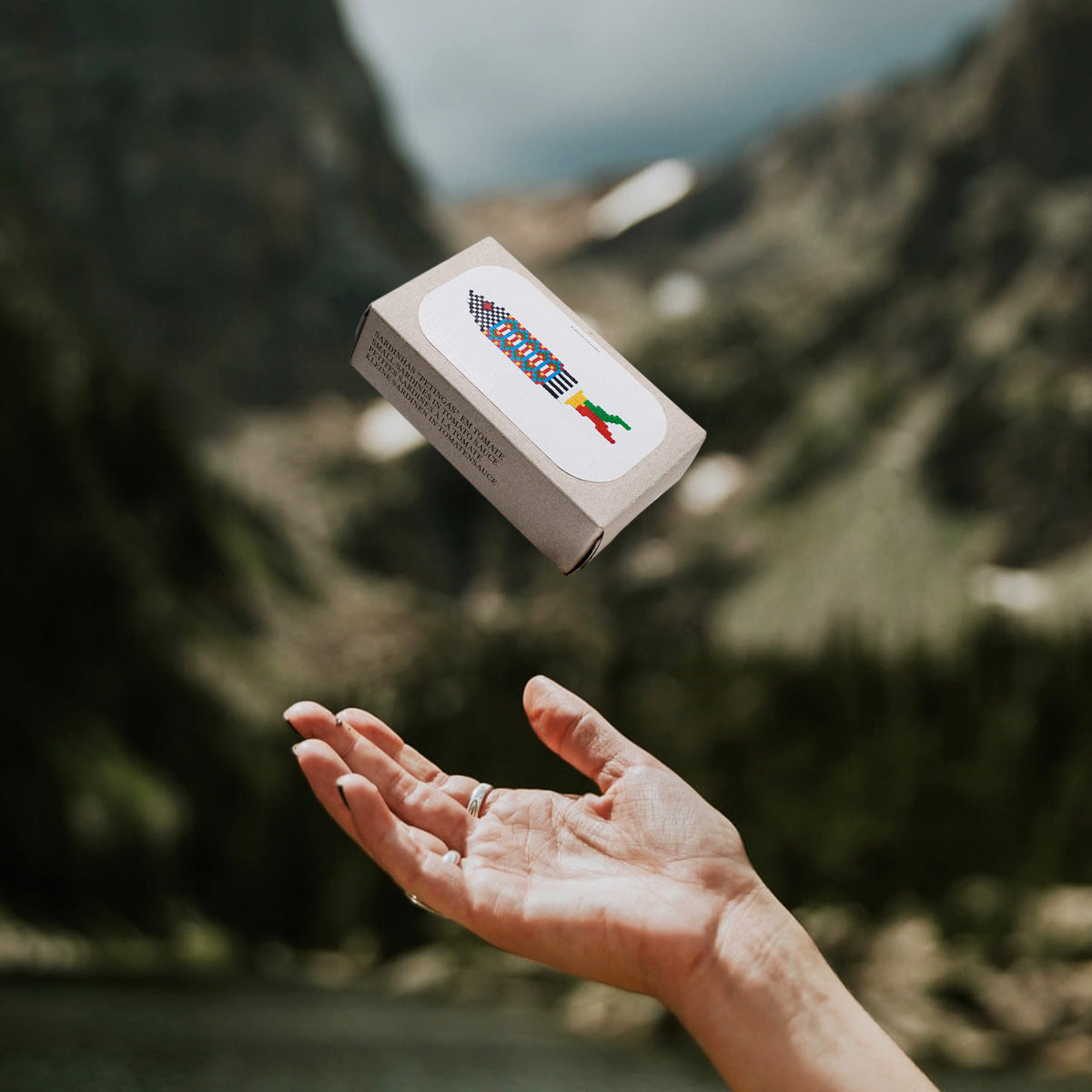 Sardinillas (Petingas) en Tomate